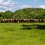 Seven D Ranch, Texas