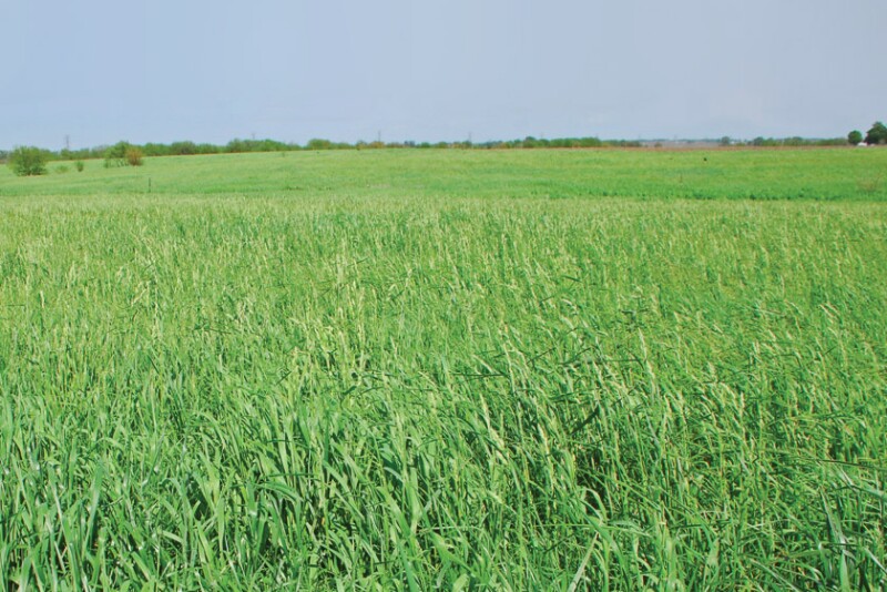 CRP Land Conservation_Darrell Smith