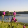 La Crosse Seed added a natives specialist to its native grass and wildflower seed business