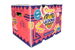 La Dona Fruit's new 40-pound box of limes.