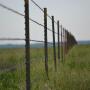 Fence.jpg
