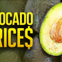 551F3645-D429-4697-96D1B1902E15FA54.png