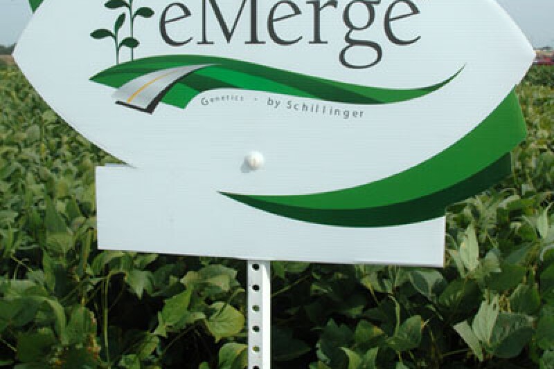 Emerge Seed Sign
