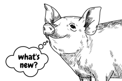 News - Pork