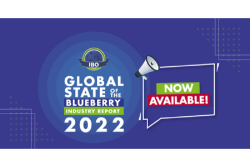 Blueberry report