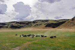 25 Ranch, Battle Mountain, Nevada