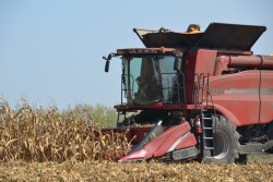Corn harvest is in full swing.