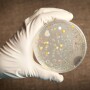 Anthrax-Disease-in-Humans.jpg