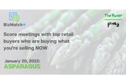 Asparagus-header.jpg