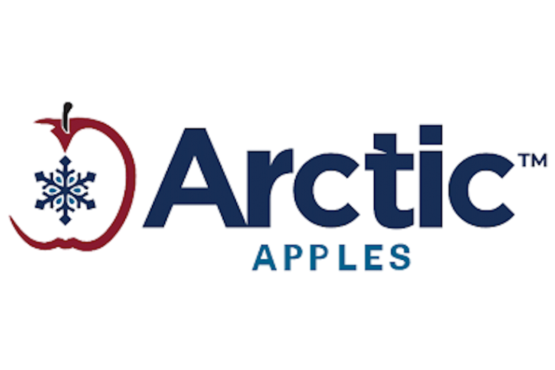 arctic logo