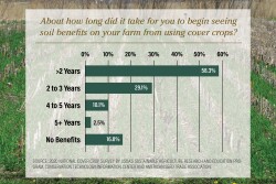 About how long did it take for you to begin seeing soil benefits on your farm from using cover crops?