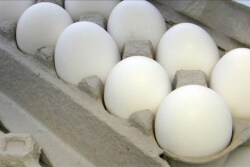 Are eggs really the problem with the development of heart disease?