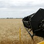 Australia_Wheat_Harvest