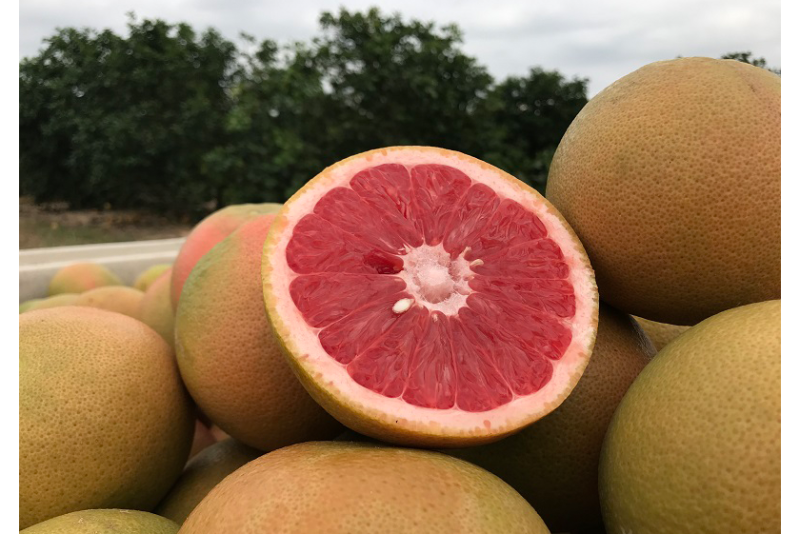 Wonderful Citrus Texas