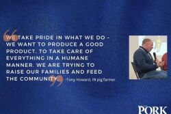 Tony Howard quote