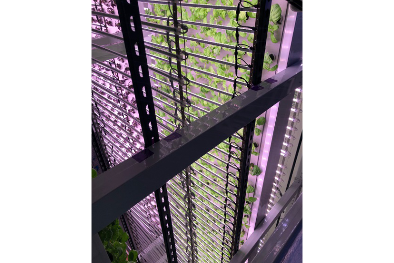 vertical 