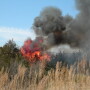 Cedar_Tree_Fire