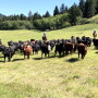 IX Ranch