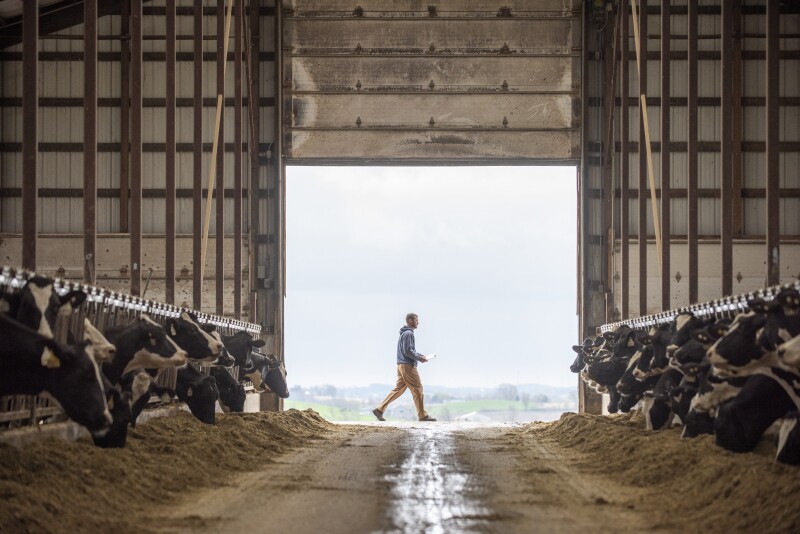 Wisconsin dairy farmer