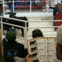 The relative importance of direct and maternal calving-ease EPDs can depend on a rancher's production system.