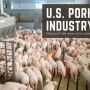 US Pork Production Analysis Summary 3