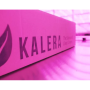 Kalera