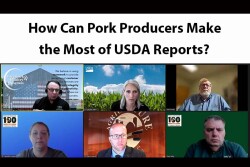 USDA Reports Panel