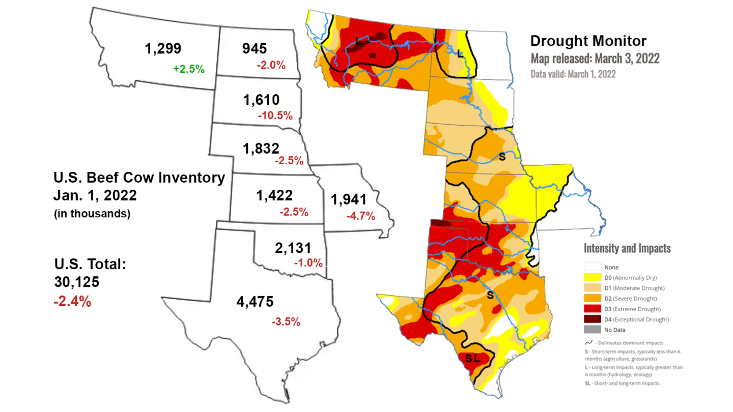 Drought’s Impact On Cow Inventories in the Central Plains - Drovers
