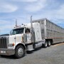 Livestock truck