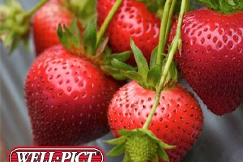 Well-Pict Berries