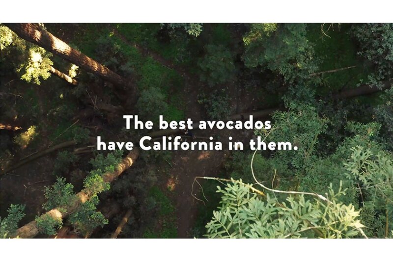 CAC-Recipe-Video---Redwoods.jpg