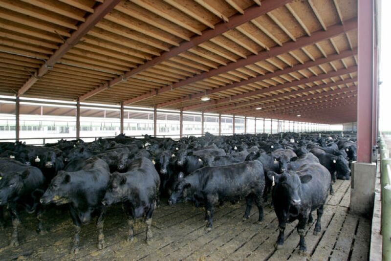 Cattle_Slated_Barn