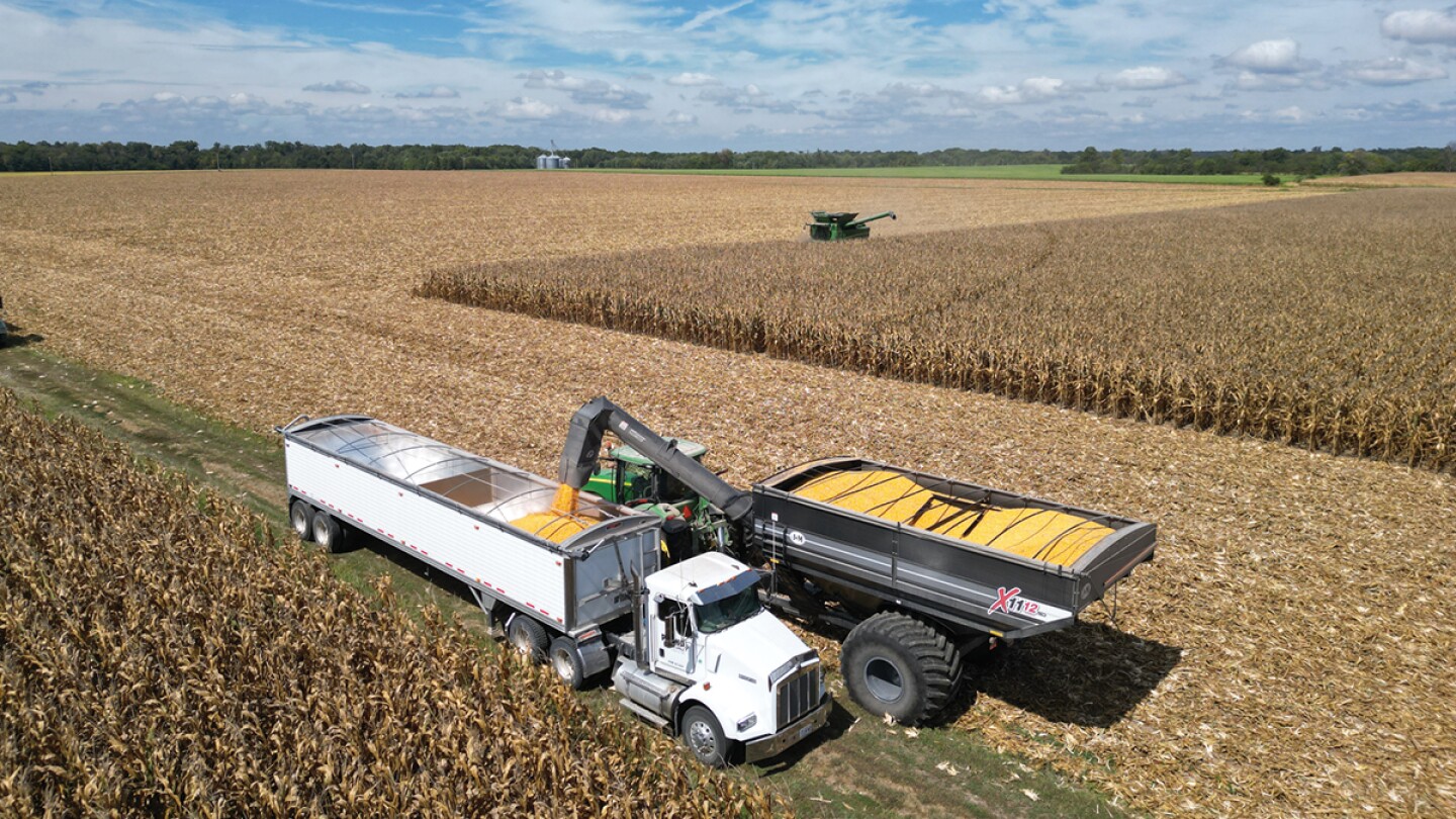 Ferrie: Why Your Corn Crop Could Be Drying Slowly This Fall - AgWeb