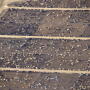 Feedlot airplane