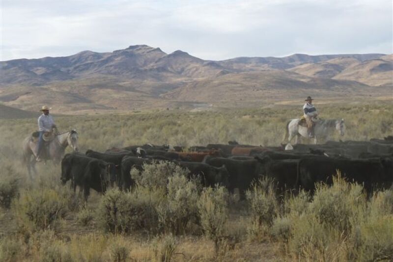 Owyhee County, Idaho