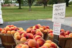 The Packer is looking for insight on local produce marketing.