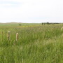 If pasture, rangeland or forage is important to your farm's success, insurance could be a valuable risk-management tool.