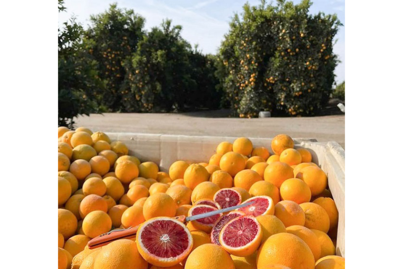 blood orange