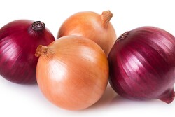 Four onions on a white background