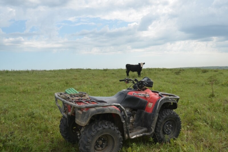 BT_Four-wheeler_ATV_Cattle