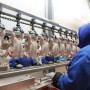 An Obama-era measure meant to level the playing field for chicken growers is shelved, and the industry is delighted.