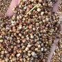 hemp grain.jpg