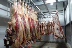 Carcasses.creative.commons.jpg