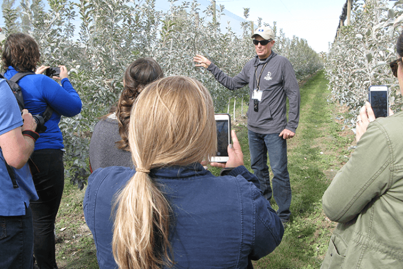 Neal Carter, founder and president of Okanagan Specialty Fruit, leads bloggers and produce media on a tour of an orchard of Arctic apples in October.