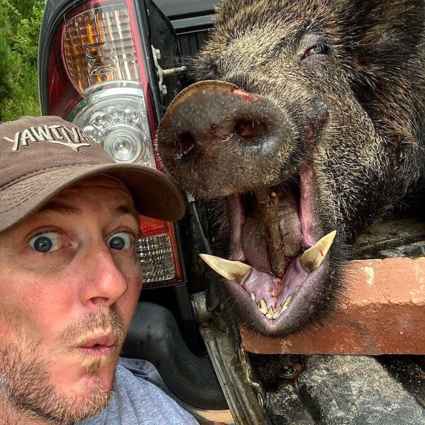YAWT%20YAWT%20AND%20WILD%20PIG.jpg