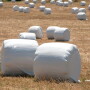 Wrapped Bales_Adobe Stock