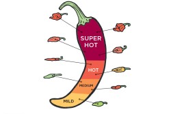 chili peppers hot scale scoville graphic