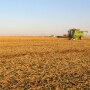 Soybean harvest