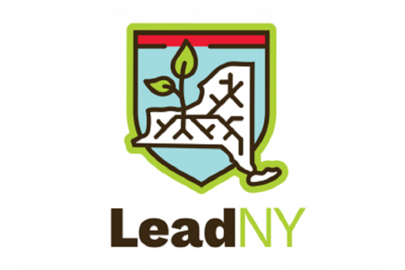 Lead NY