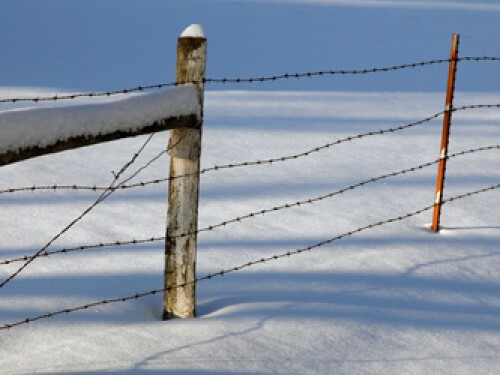 snow fence